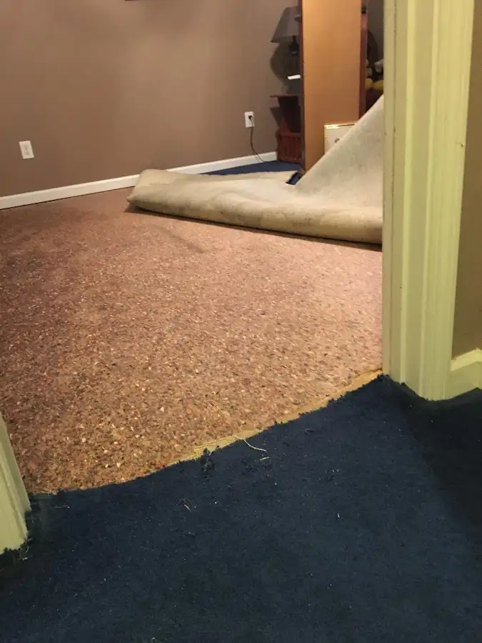 Carpet pad removal revealing water damage during Drying & Dehumidification in Alton