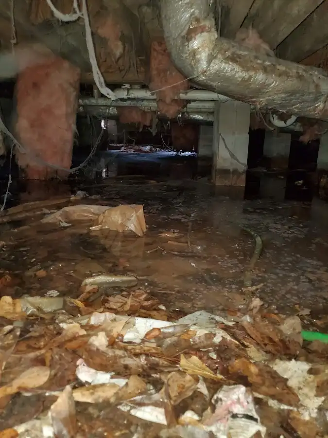 Crawl space flood assessment for Leak Detection & Repair in Alton